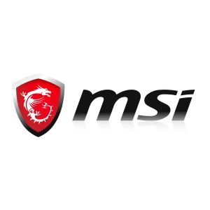 MSI